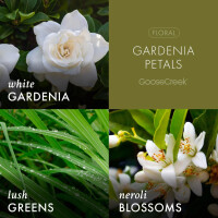 Gardenia Petals 3-Docht-Kerze 411g
