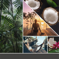 Black Coconut Car Vent Stick