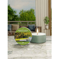Spanish Moss Daylight 35g