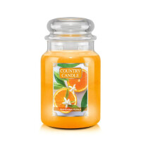 Mandarin Petals 2-Docht-Kerze 652g