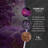 Evening Luxe Kerzenglas Mittel 275g mit Knisterdocht