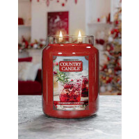 Cranberry Cocktail 2-Docht-Kerze 652g Limited Edition
