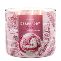 Raspberry Sorbet 3-Docht-Kerze 411g
