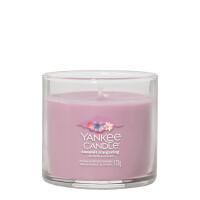 Summit Stargazing Kleines Glas 122g