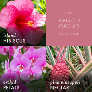 Hibiscus Orchid 3-Docht-Kerze 411g