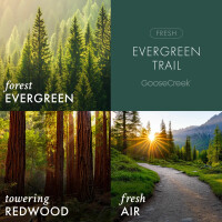 Evergreen Trail 3-Docht-Kerze 411g