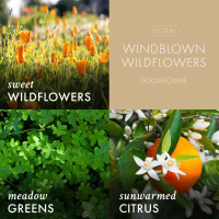 Windblown Wildflowers 3-Docht-Kerze 411g