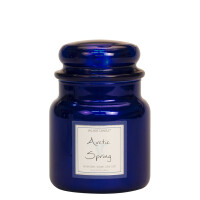 Arctic Spring 2-Docht-Kerze 411g Limited Edition Metallic Line