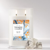 Silver Birch 2-Docht-Tumbler 567g