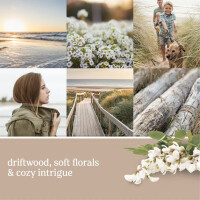 Seaside Woods Wachsmelt 75g