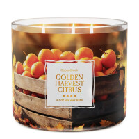 Golden Harvest Citrus 3-Docht-Kerze 411g