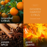 Golden Harvest Citrus 3-Docht-Kerze 411g