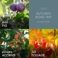 Autumn Road Trip 3-Docht-Kerze 411g