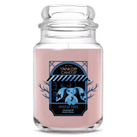 Mystic Toys Großes Glas 623g
