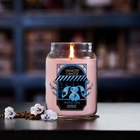 Mystic Toys Großes Glas 623g