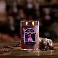 Apothecary Potions 2-Docht-Tumbler 567g