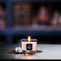 Mystic Toys Mini Glas 37g