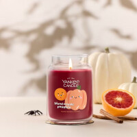 Blood Orange Pumpkin Großes Glas 623g