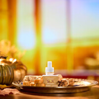 Golden Pumpkin Elektrischer Duftspender - Nachfüller