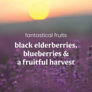 Fantastical Fruits Elektrischer Duftspender - Nachf&uuml;ller