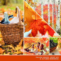 Autumn Leaves® Elektrischer Duftspender - Nachfüller