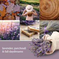 Dried Lavender & Oak Elektrischer Duftspender - Nachfüller