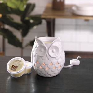Owl Scenterpiece&trade; Easy Meltcup Warmer