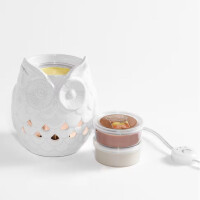 Owl Scenterpiece™ Easy Meltcup Warmer