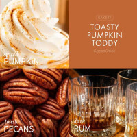 Toasty Pumpkin Toddy 3-Docht-Kerze 411g