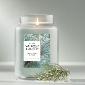 Silver Sage & Pine Großes Glas 623g