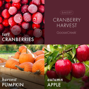 Cranberry Harvest 3-Docht-Kerze 411g