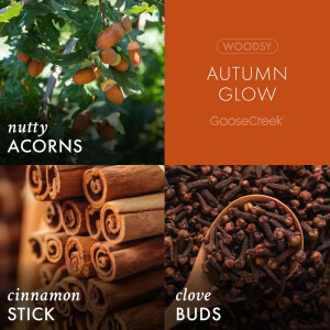 Autumn Glow 3-Docht-Kerze 411g