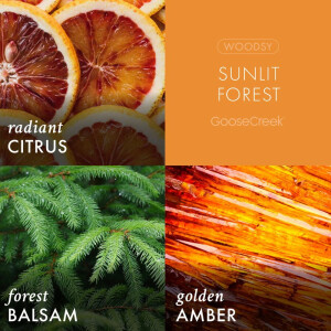 Sunlit Forest 3-Docht-Kerze 411g
