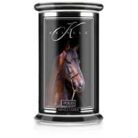 Polo 2-Docht-Kerze 623g