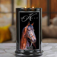 Polo 2-Docht-Kerze 623g