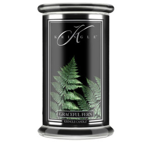 Kringle Candle® Graceful Fern 2-Docht-Kerze 623g