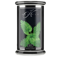 Mint 2-Docht-Kerze 623g