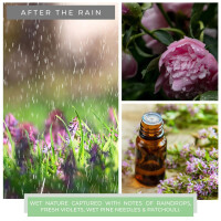 After The Rain 2-Docht-Kerze 680g