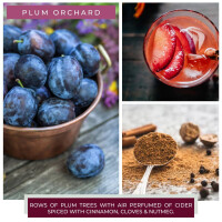 Plum Orchard 2-Docht-Kerze 680g