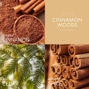Cinnamon Woods 3-Docht-Kerze 411g