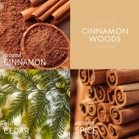 Cinnamon Woods 3-Docht-Kerze 411g