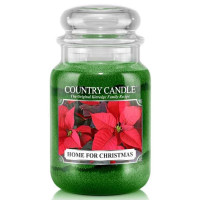Country Candle™ Home For Christmas 2-Docht-Kerze 652g
