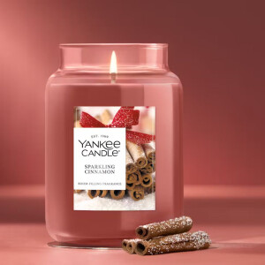 Sparkling Cinnamon Großes Glas 623g