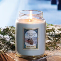 Frosted Tracks Großes Glas 623g