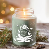 Balsam & Cedar Fireside Großes Glas 623g