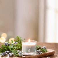 Winter Pine Mini Glas 37g