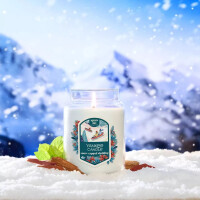 Snow-Capped Sledding Großes Glas 623g