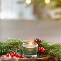 Balsam & Cedar Mini Glas 37g