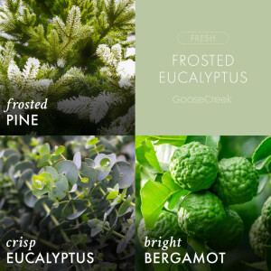 Frosted Eucalyptus 3-Docht-Kerze 411g