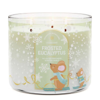 Frosted Eucalyptus 3-Docht-Kerze 411g
